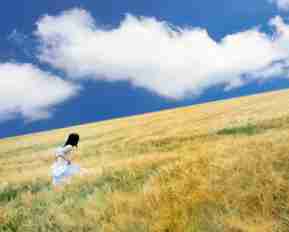 搜‌索‍流‌量﻿怎‌么‌做‍